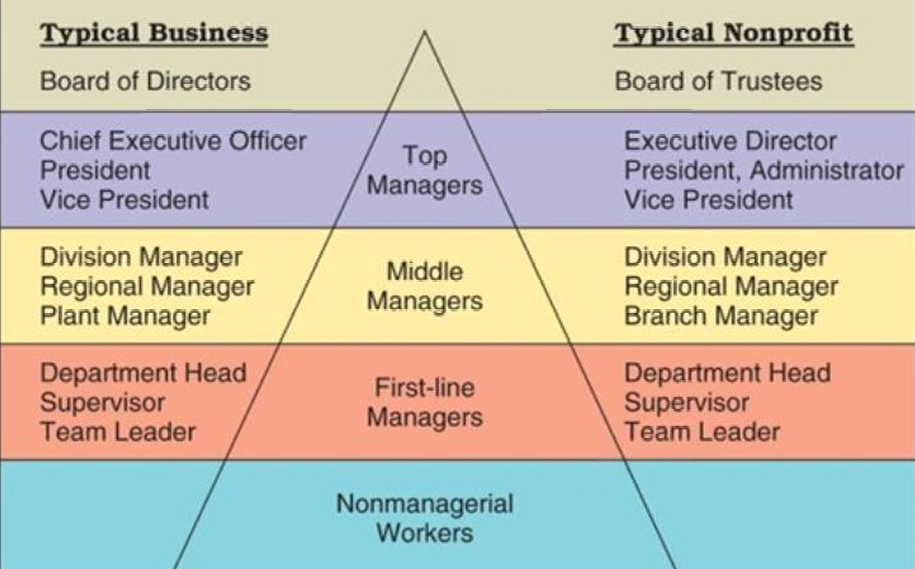 Level of management