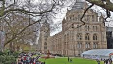 Natural History Museum