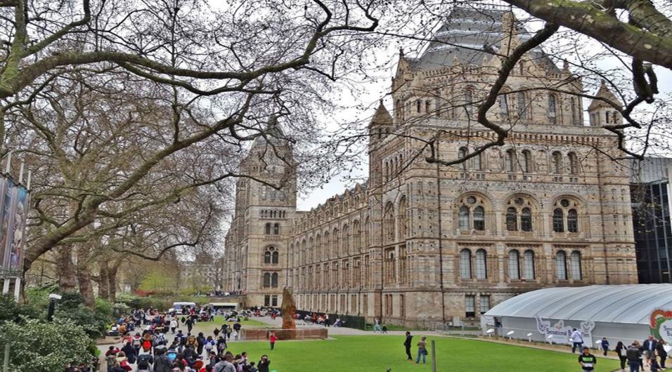 Natural History Museum Natural History Museum