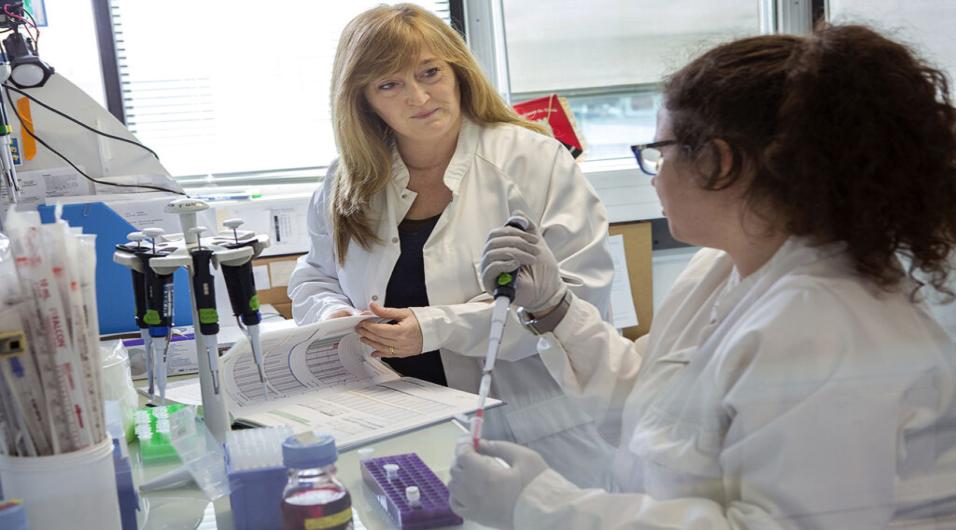 Work as genetic engineer Work as genetic engineer