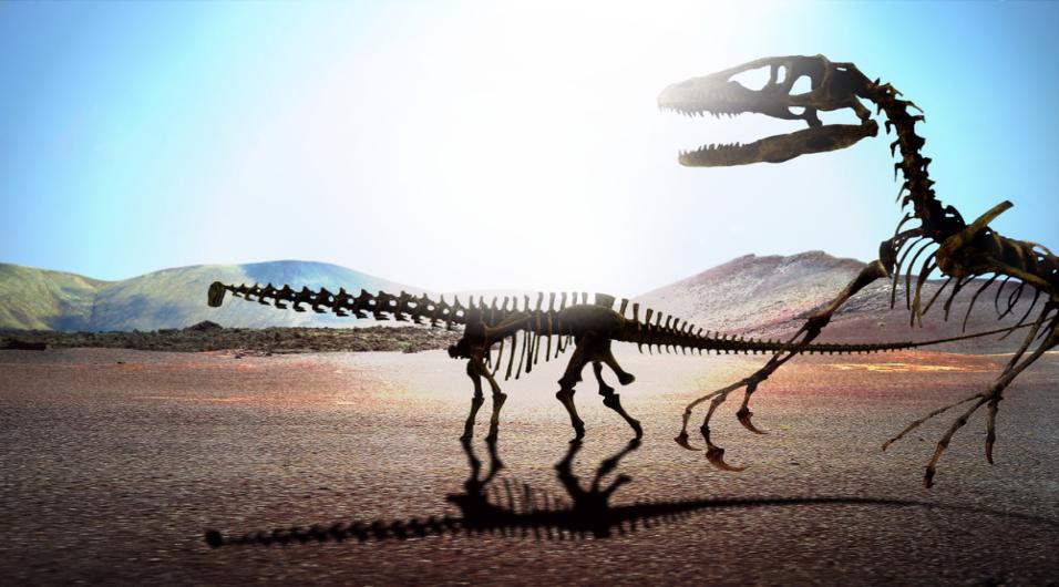 The extinction of dinosaurs The extinction of dinosaurs